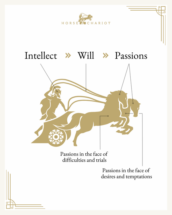 intellect-will-passions-teaching-of-virtue-by-horse-chariot